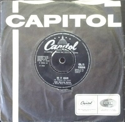 The Beach Boys - Do It Again download mp3 flac