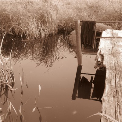 Vitaly Maklakov - Trans-Ural Frogs download mp3 flac