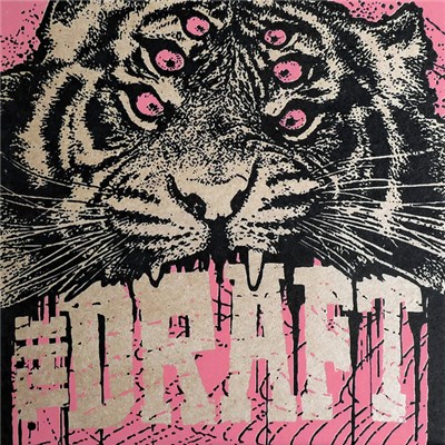 The Draft - The Fest 12 Edition download mp3 flac