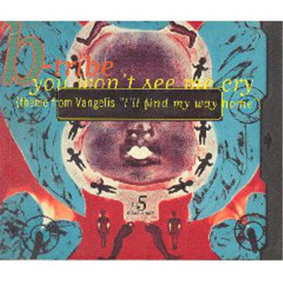 B-Tribe - You Won't See Me Cry (Theme From Vangelis "I'll Find My Way Home") download mp3 flac