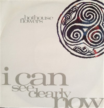 Hothouse Flowers - I Can See Clearly Now download mp3 flac