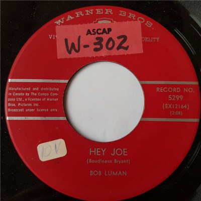 Bob Luman - The Fool download mp3 flac