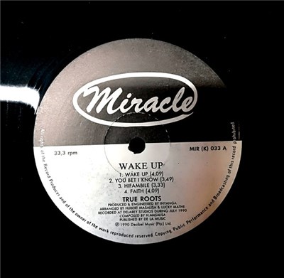 True Roots - Wake Up download mp3 flac