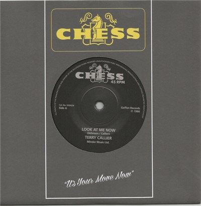 Terry Callier - Look At Me Now download mp3 flac