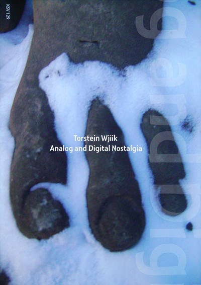 Torstein Wjiik - Analog And Digital Nostalgia download mp3 flac