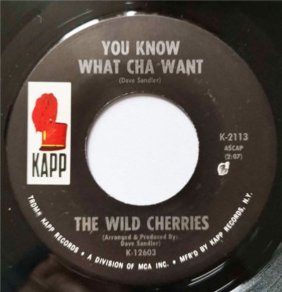 The Wild Cherries - You Know What Cha Want download mp3 flac