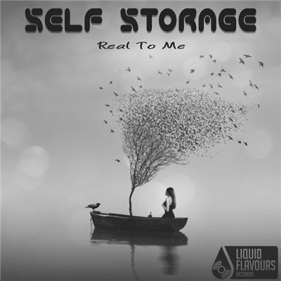 Self Storage - Real To Me download mp3 flac
