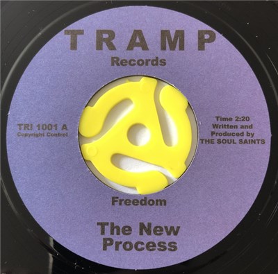 The New Process - Freedom / Theme From The Bus People Express download mp3 flac