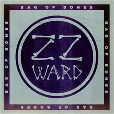 ZZ Ward - Bag of Bones (Fan Version) download mp3 flac