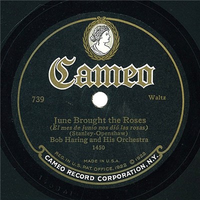 Bob Haring And His Orchestra - June Brought The Roses / Carolina Sweetheart Waltz download mp3 flac
