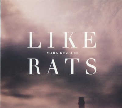 Mark Kozelek - Like Rats download mp3 flac