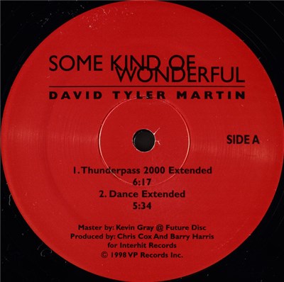 David Tyler Martin - Some Kind Of Wonderful download mp3 flac