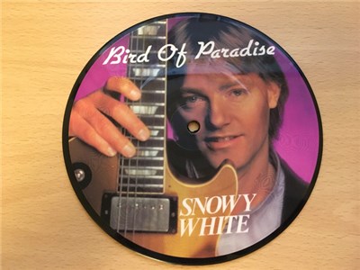 Snowy White - Bird Of Paradise download mp3 flac