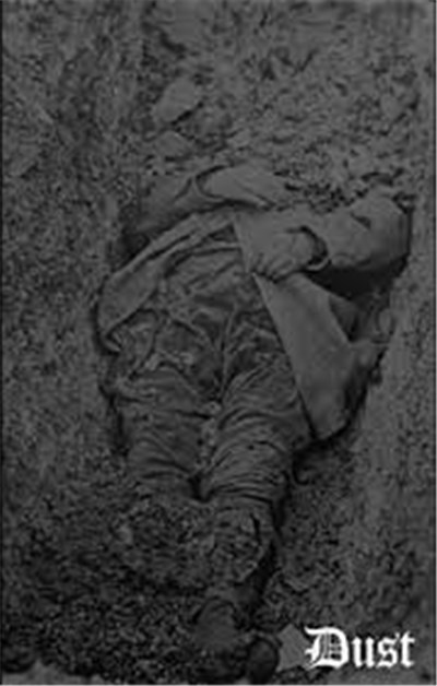 Ulfang - Dust download mp3 flac