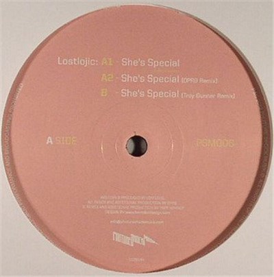 Lostlojic - She's Special download mp3 flac