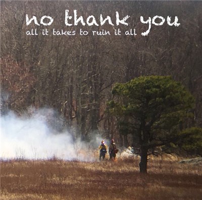 No Thank You - All It Takes To Ruin It All download mp3 flac