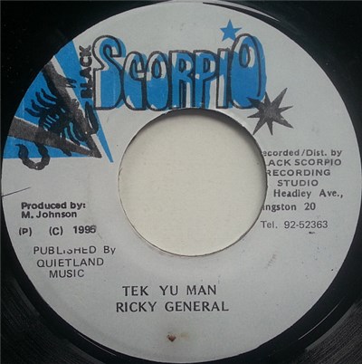 Ricky General - Tek Yu Man download mp3 flac