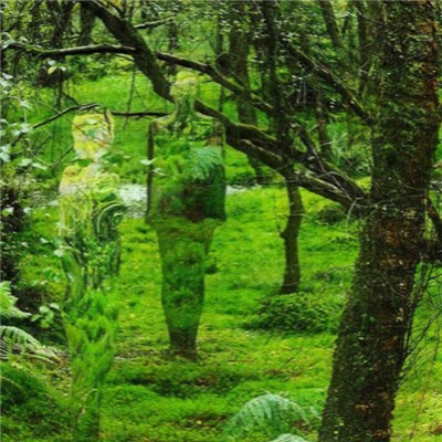 Ｅｌｅｃｔｒｉｃ Ｄｒｅａｍｓ - Pathless Woods download mp3 flac