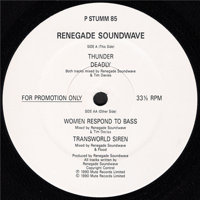 Renegade Soundwave - In Dub download mp3 flac