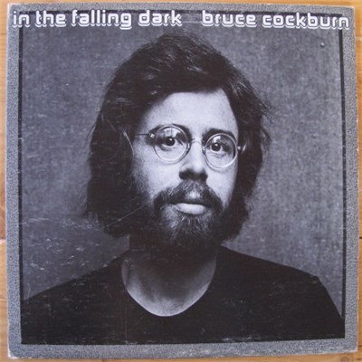 Bruce Cockburn - In The Falling Dark download mp3 flac