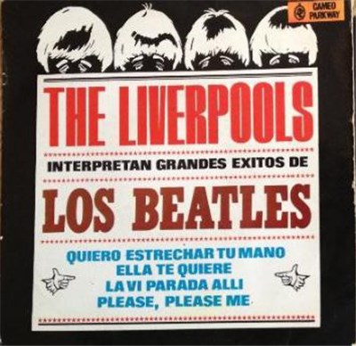 The Liverpools - I Want To Hold Your Hand download mp3 flac