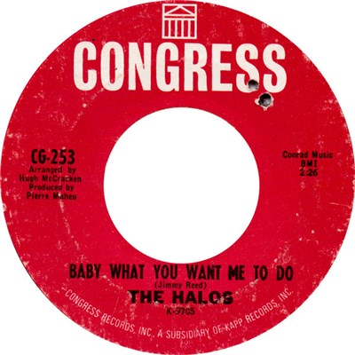 The Halos - Baby What You Want Me To Do download mp3 flac