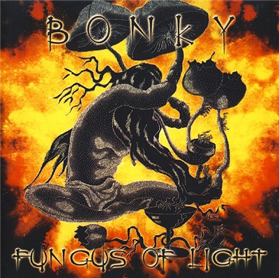 Bonky, Fungus Of Light - Bonky & Fungus Of Light download mp3 flac