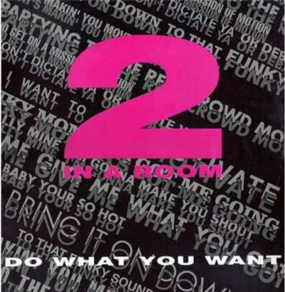 2 In A Room - Do What You Want download mp3 flac