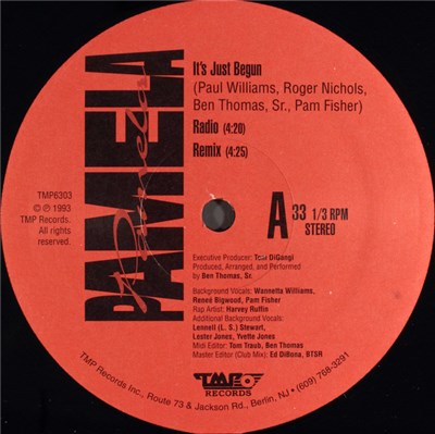 Pamela - It's Just Begun download mp3 flac