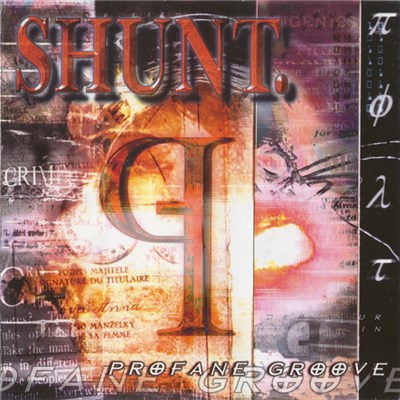 Shunt - Profane Groove download mp3 flac