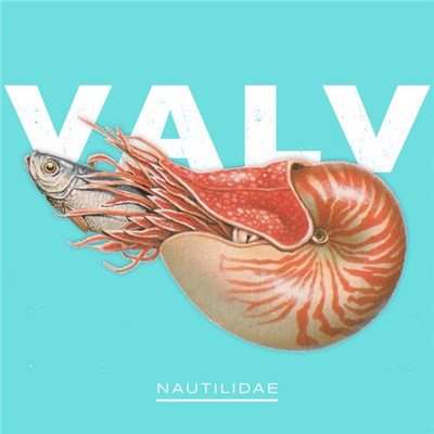 Valv - Nautilidae download mp3 flac