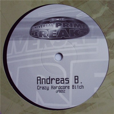 Andreas B. - Crazy Hardcore Bitch download mp3 flac