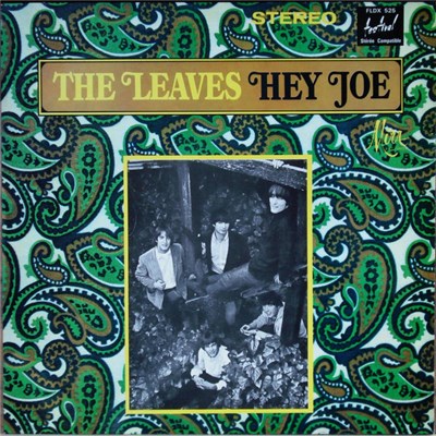 The Leaves - Hey Joe download mp3 flac