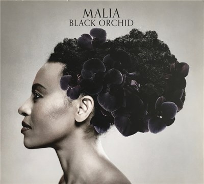 Malia - Black Orchid download mp3 flac