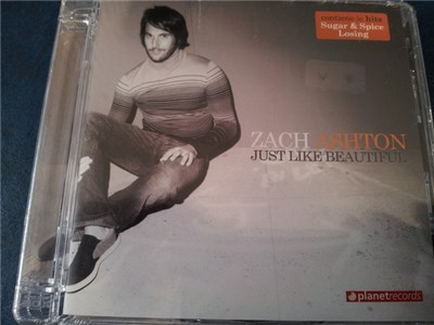 Zach Ashton - Just Like Beautiful download mp3 flac