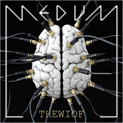 Medum - Thewiof download mp3 flac