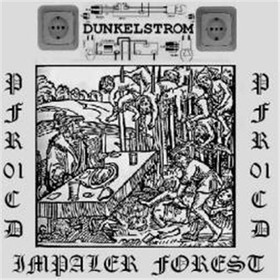 Dunkelstrom - Impaler Forest download mp3 flac