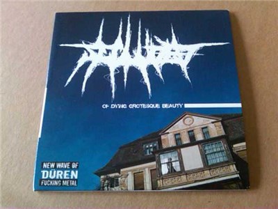 The Secluded - Of Dying Grotesque Beauty download mp3 flac