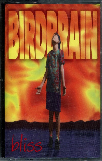 Birdbrain - Bliss download mp3 flac