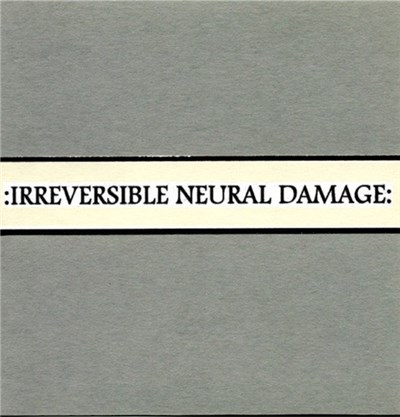 Axon Neuron / Vagwa - Irreversible Neural Damage download mp3 flac