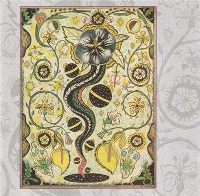 Steve Earle - I Feel Alright download mp3 flac