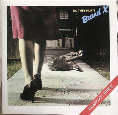 Brand X - Do They Hurt? download mp3 flac