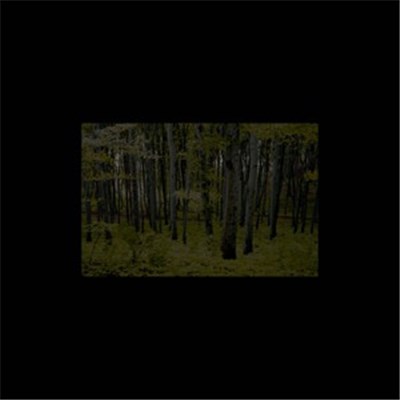 Rihmasto - Metsän Juurella download mp3 flac