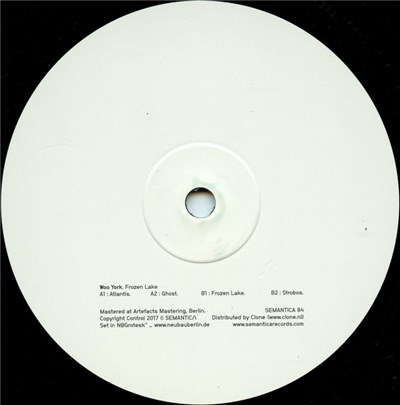 Woo York - Frozen Lake download mp3 flac