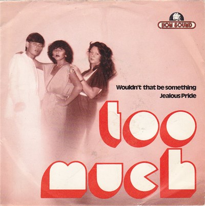 Too Much - Wouldn't That Be Something download mp3 flac