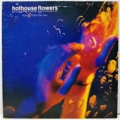 Hothouse Flowers - Songs From The Rain download mp3 flac