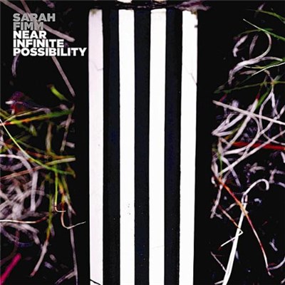 Sarah Fimm - Near Infinite Possibility download mp3 flac