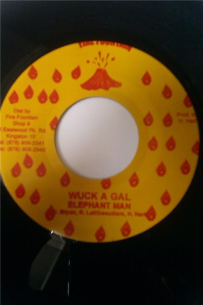 Elephant Man - Wuck A Gal download mp3 flac