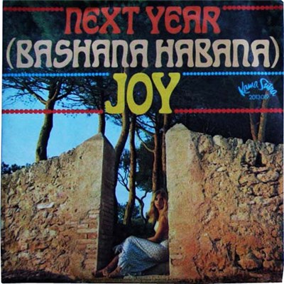 Joy - Next Year / Two Different Things download mp3 flac