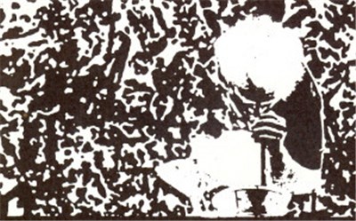 Viscera - Snot download mp3 flac